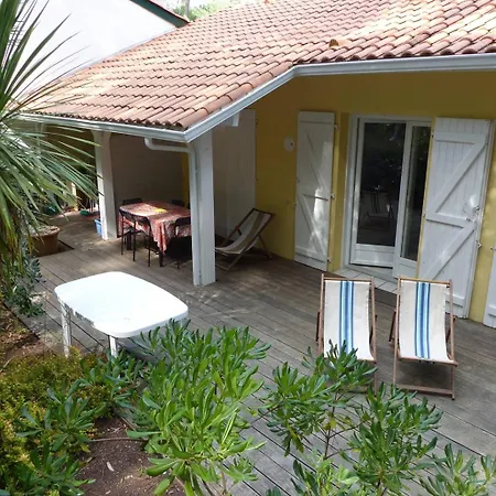 Des Marmottes Pour 6 Personnes Soorts-Hossegor