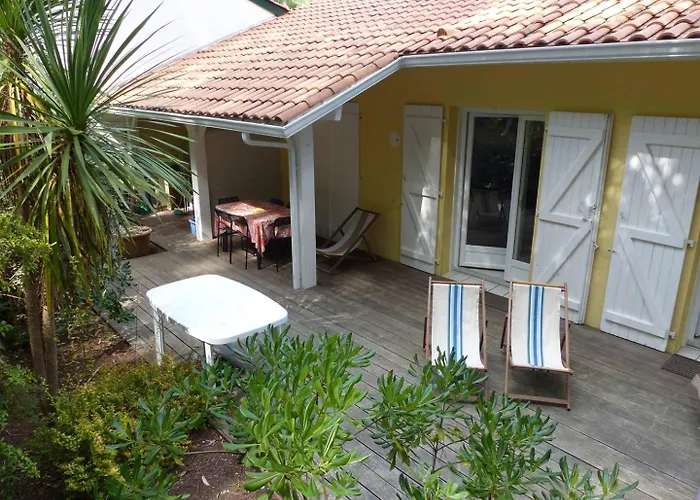 Des Marmottes Pour 6 Personnes Soorts-Hossegor