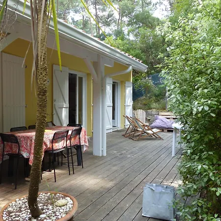 Des Marmottes Pour 6 Personnes Villa